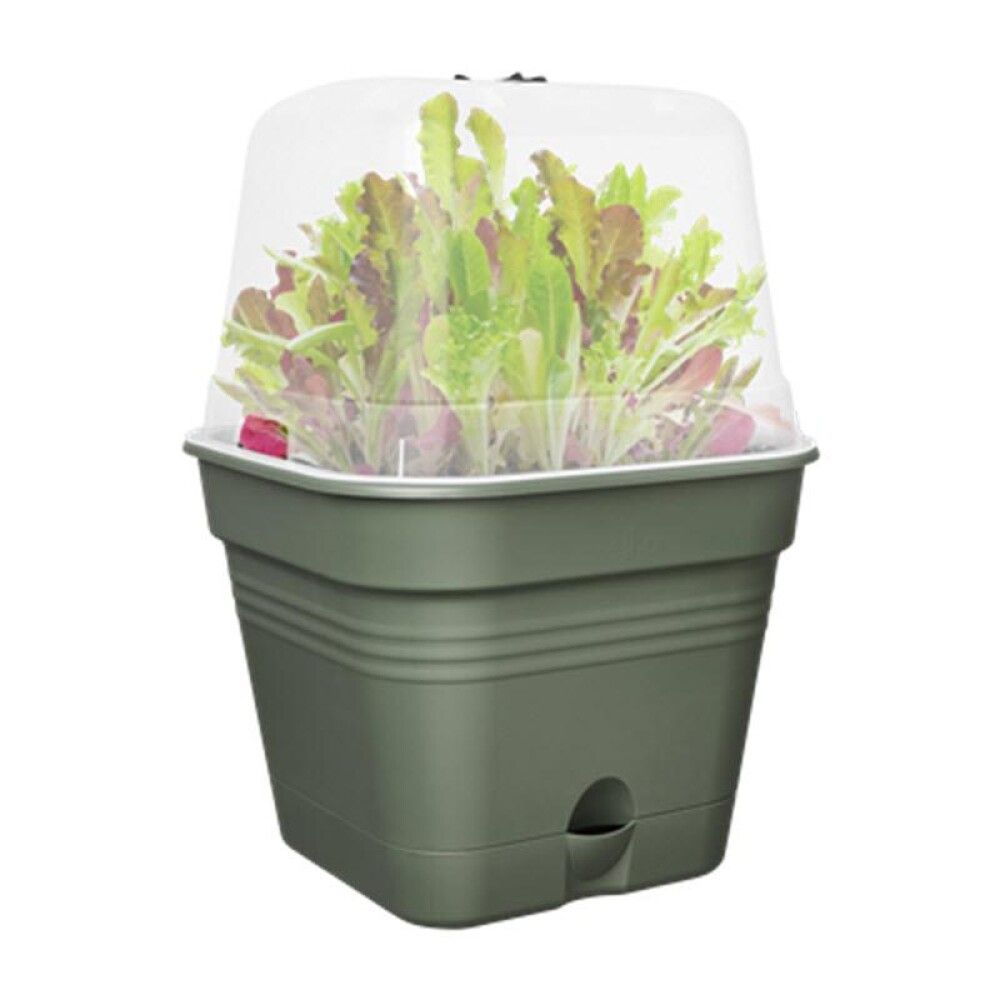 Gróðurbakki Green Basics 30cm grænn