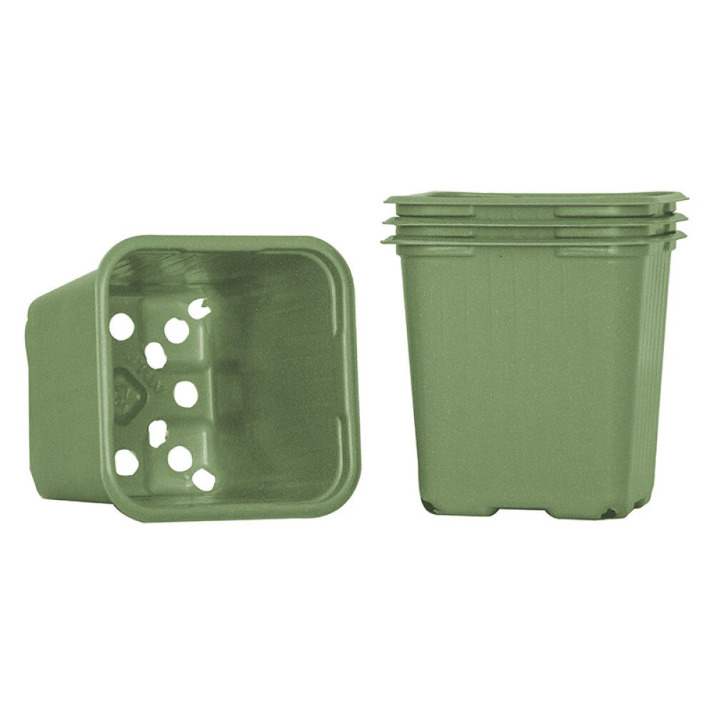 Sáningarpottar grænir 8cm Weibulls 20stk