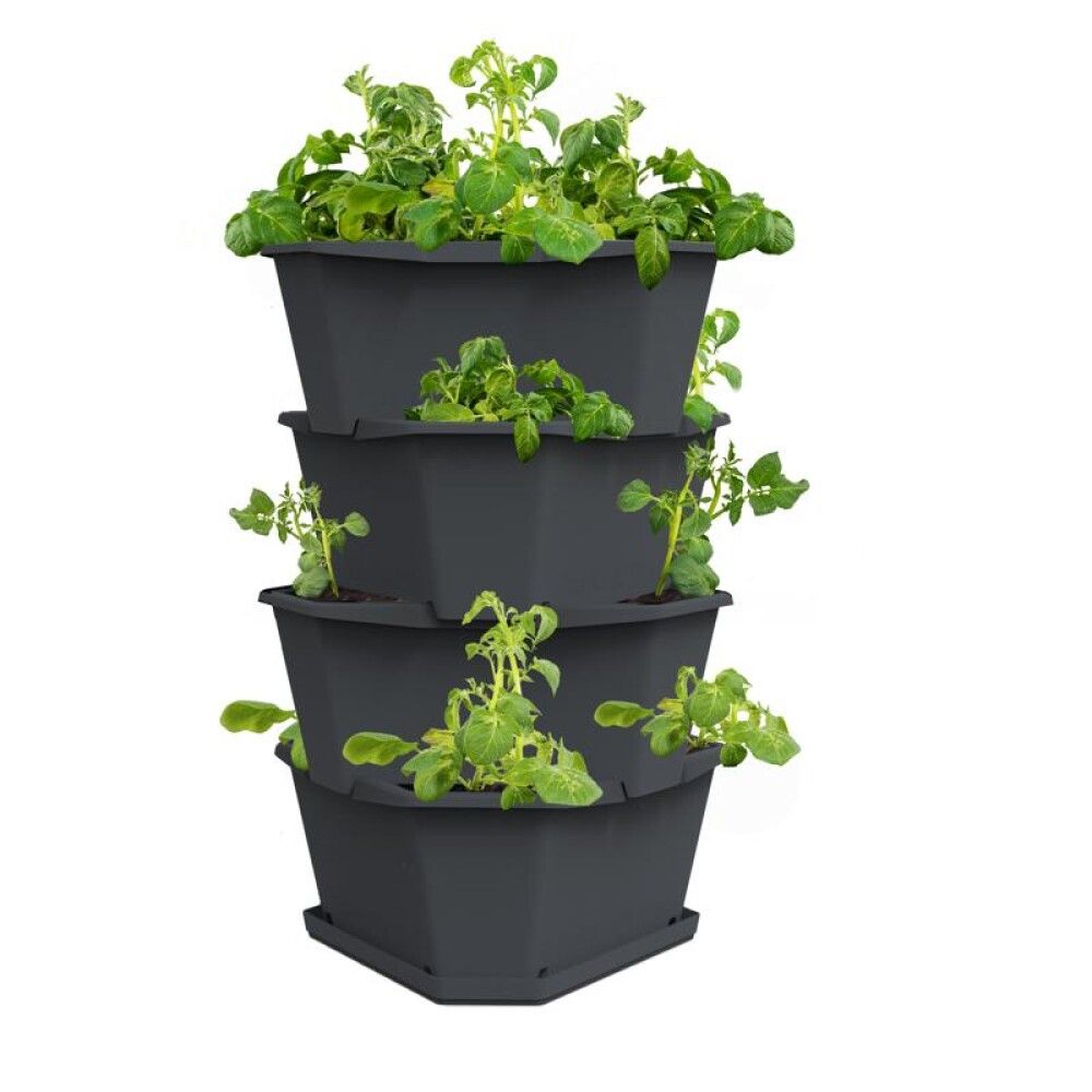 Kartöflupottur Paul Potato Garden Life