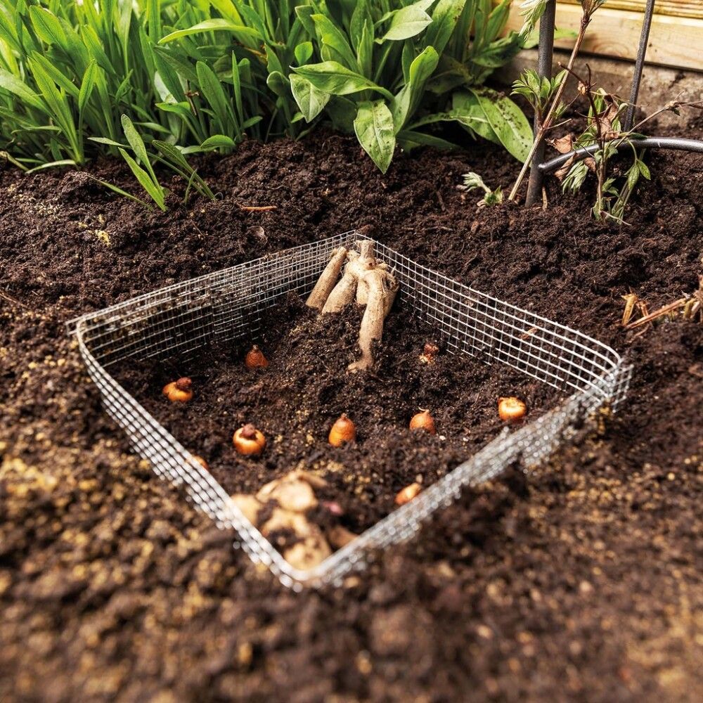 Grind fyrir lauka 15cm 5stk