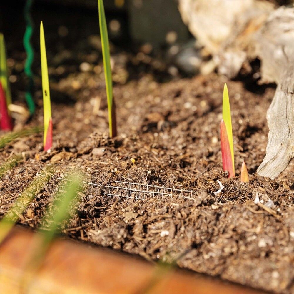 Grind fyrir lauka 15cm 5stk