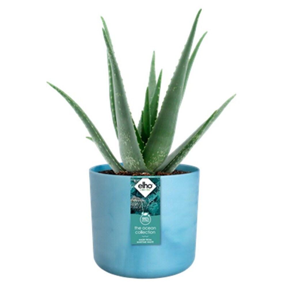 Blómapottur Ocean plast Ø14cm blár