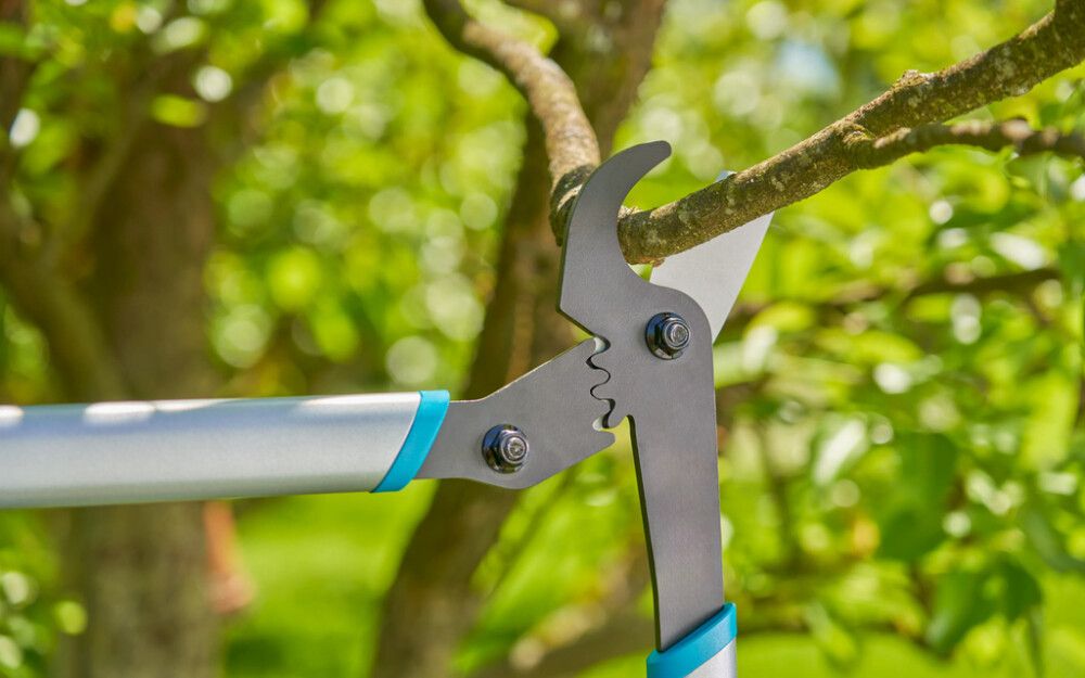 Greinaklippur 42mm Gardena EnergyCut basic