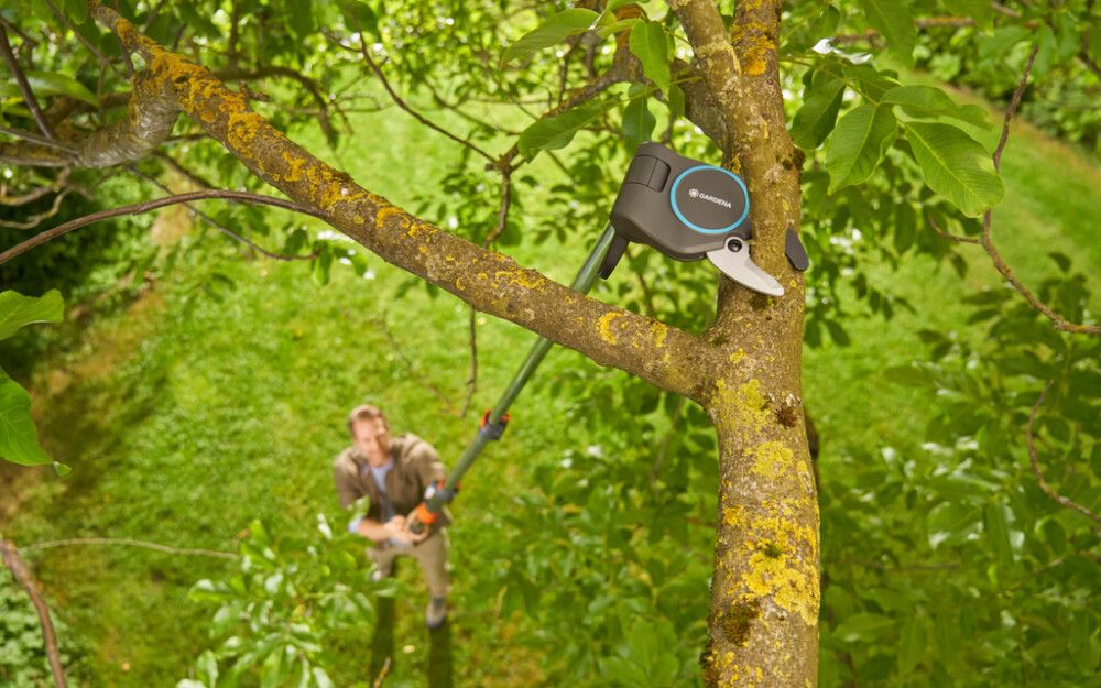 Greinaklippur 32 mm og sög Starcut Pro L Gardena