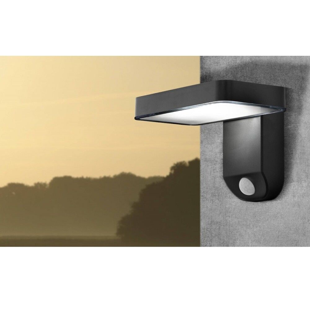 Veggljós með sólarsellu LED Pastion 18x12 cm