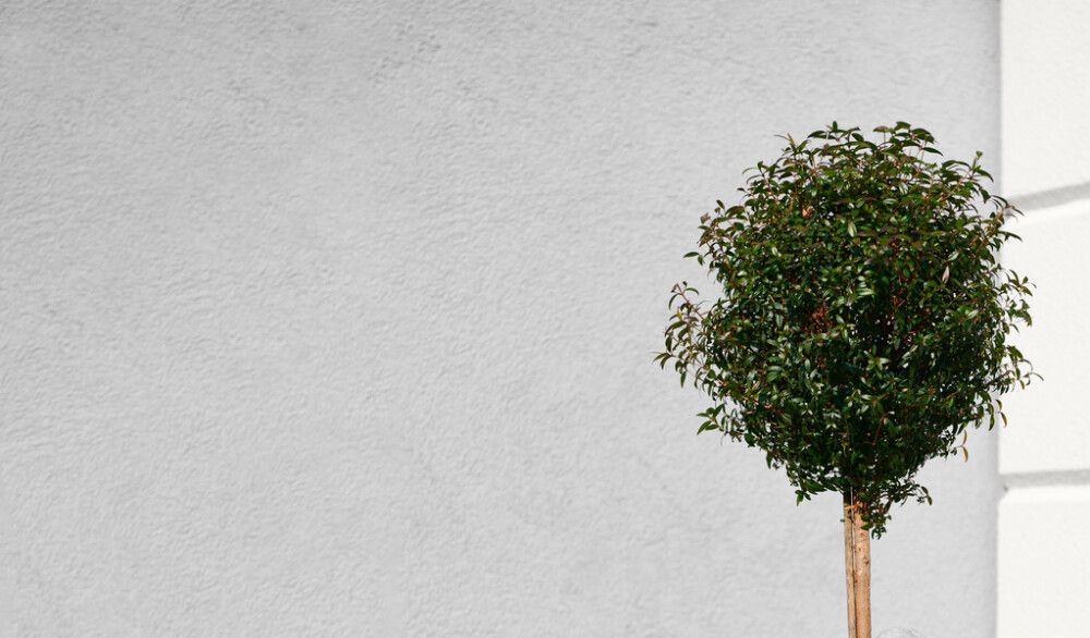 Grunnur fyrir múr 9L Sadolin