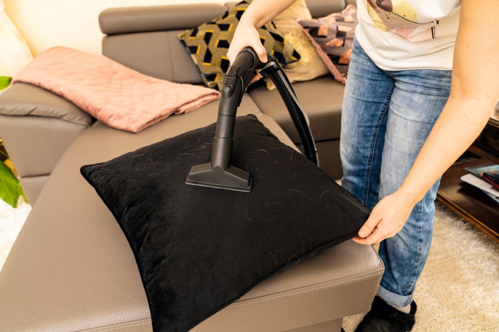 Teppahreinsir Scheppach SPRAYVAC20