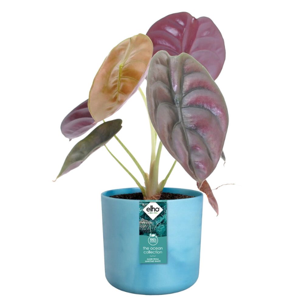 Blómapottur Ocean Ø22cm blár