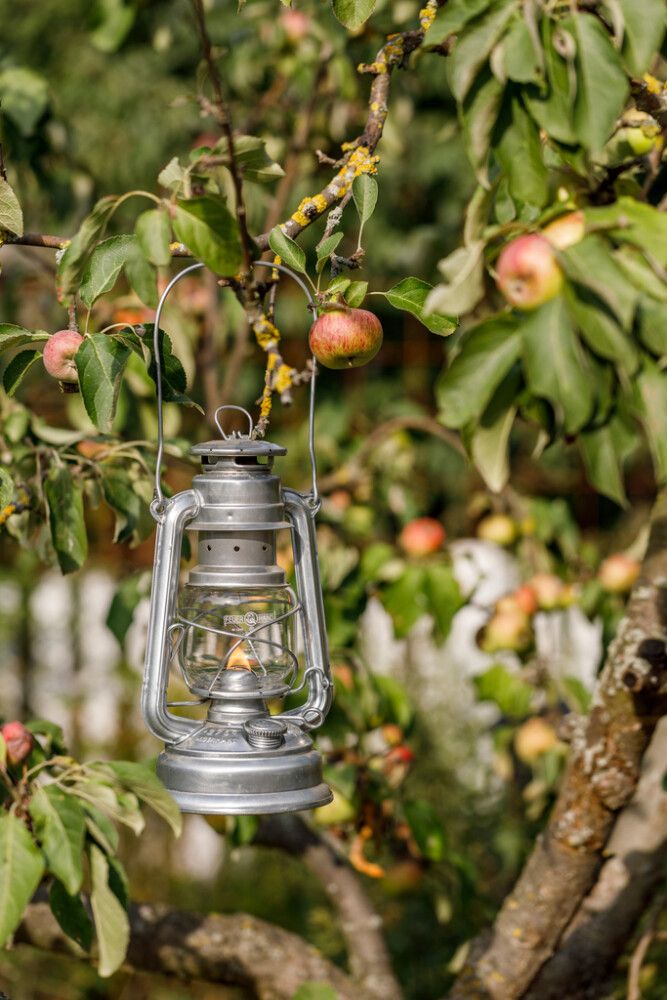 Olíulampi Hurricane 276 Feuerhand stál galv