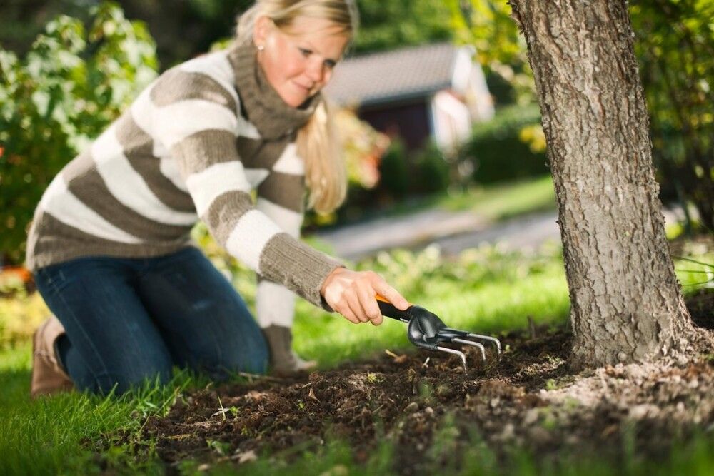Klóra 3 tennur stál Fiskars