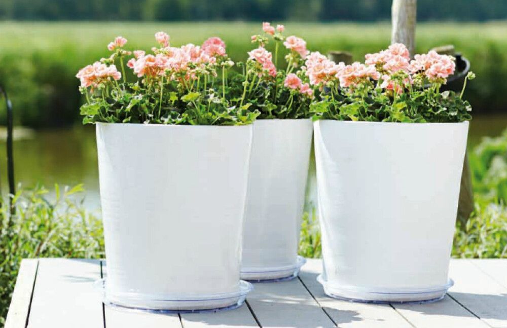 Undirskál Uni Ø21cm glær