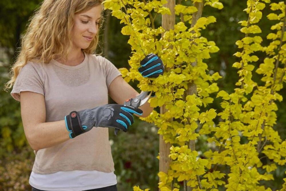 Garðhanskar str. M runnar og tré