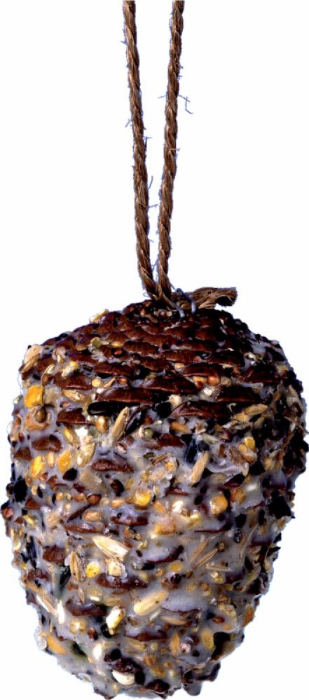 Fuglafóðurkúla köngull Garden Life