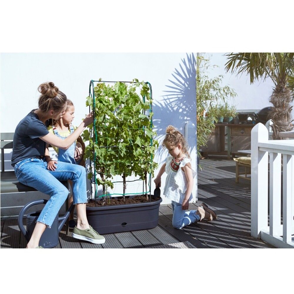 Gróðurkassi 80cm Elho