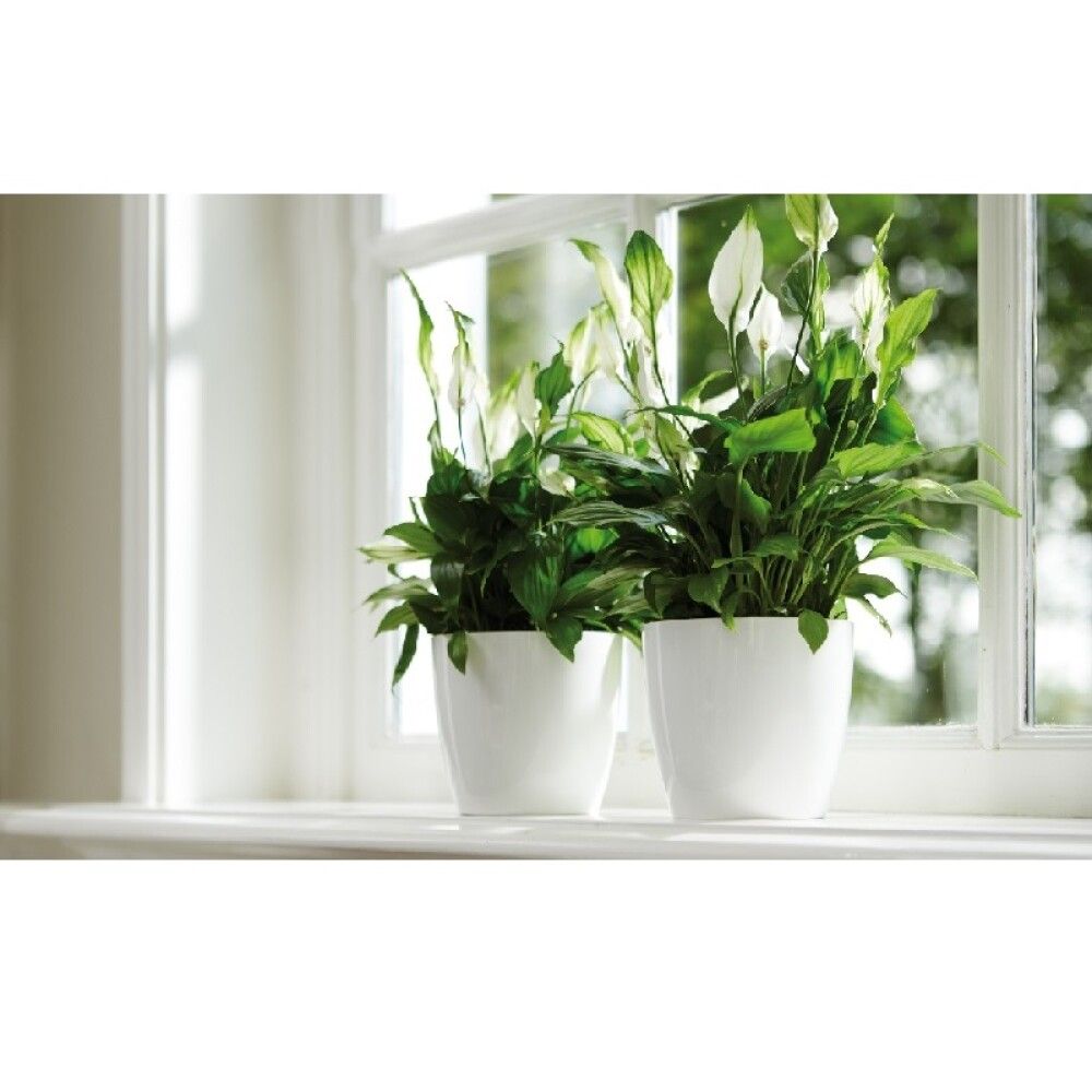 Blómapottur Brussels Diamond Ø25cm Elho hvítur