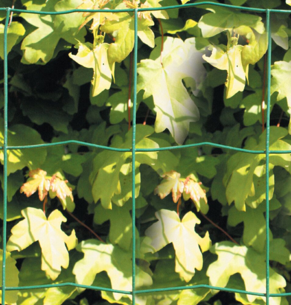 Girðingarnet H:60 cm L:10 m möskvi 100x100 mm NSH grænt