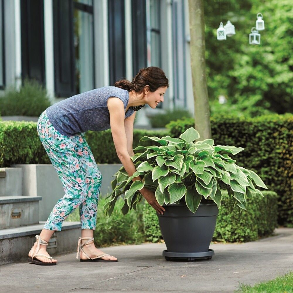 Undirskál með hjólum Universal Planttaxi Ø28,5cm dökkgrár