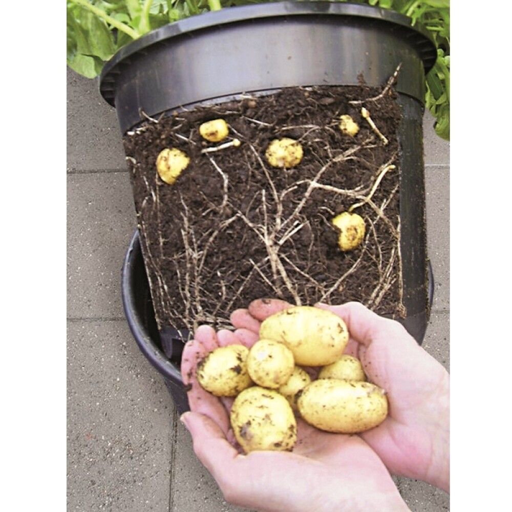 Kartöflupottur PotatoPot Ø30cm  Garden Life