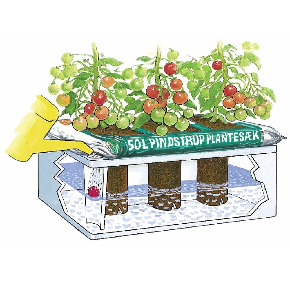 Vökvunarkassi Maxikap Pindstrup hvítur