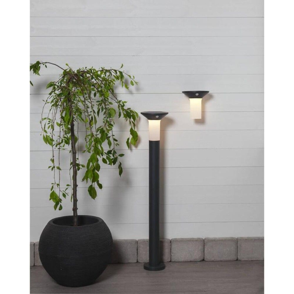 Garðljós sólar með skynjara LED Corbezzola grafit svart