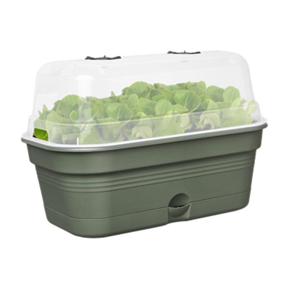 Gróðurbakki Green Basics 32cm grænn