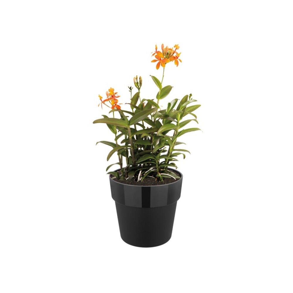 Blómapottur B.for Orginal Ø30 cm Elho svartur