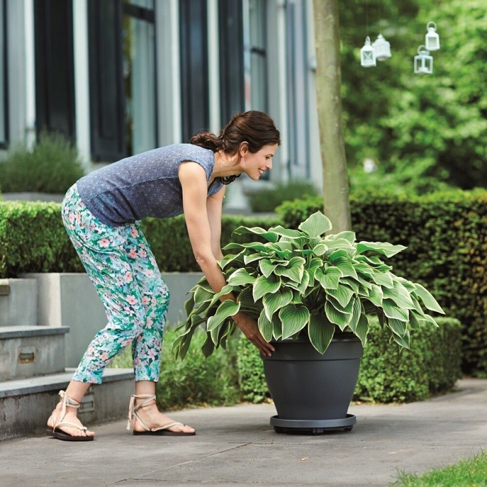 Undirskál með hjólum Universal Planttaxi Ø38cm dökkgrár