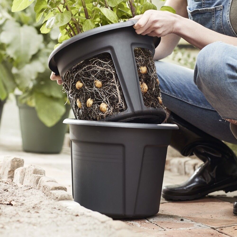 Kartöflupottur Green Basics Ø24cm Elho svartur