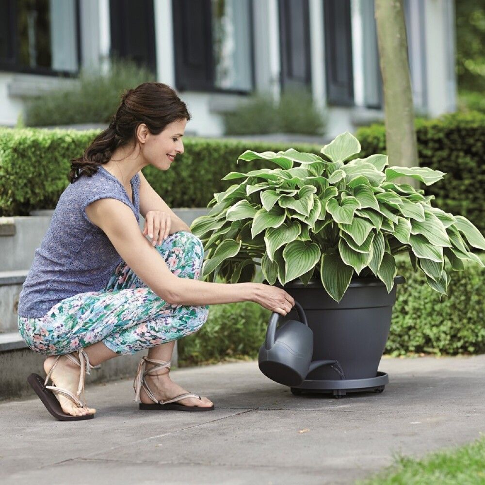 Undirskál með hjólum Universal Planttaxi Ø28,5cm dökkgrár