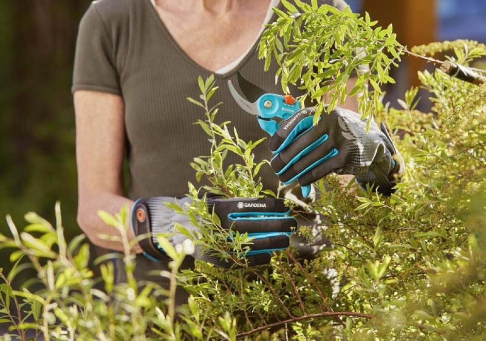 Garðhanskar str. M runnar og tré