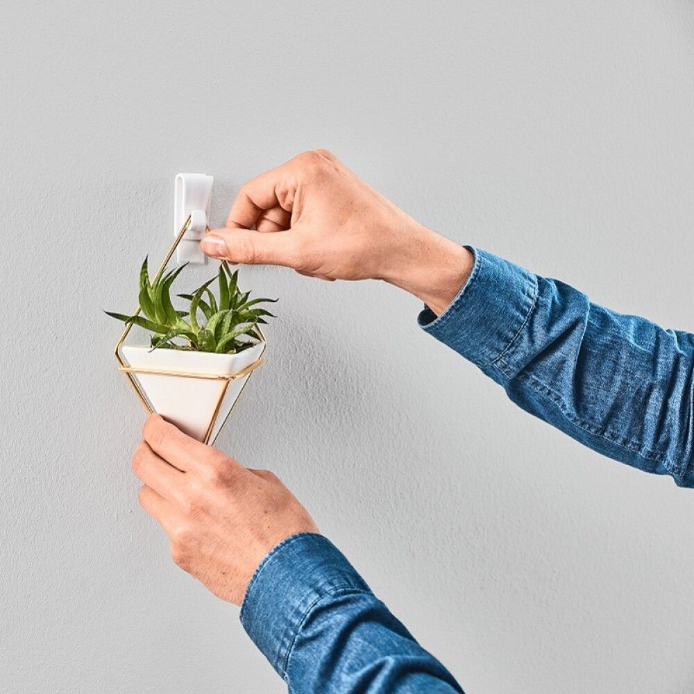 Límkrókur fyrir gips 0,5kg Tesa 2stk