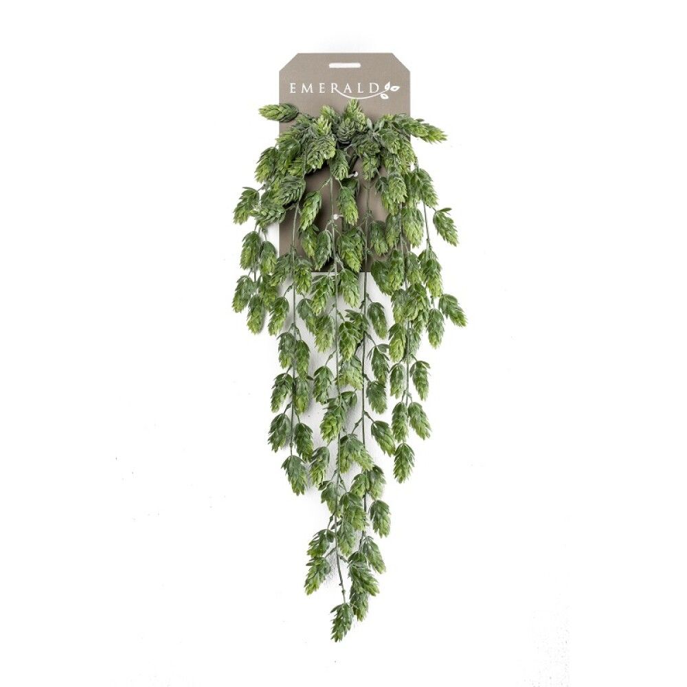 Gerviplanta hangandi Humle Emerald 70cm