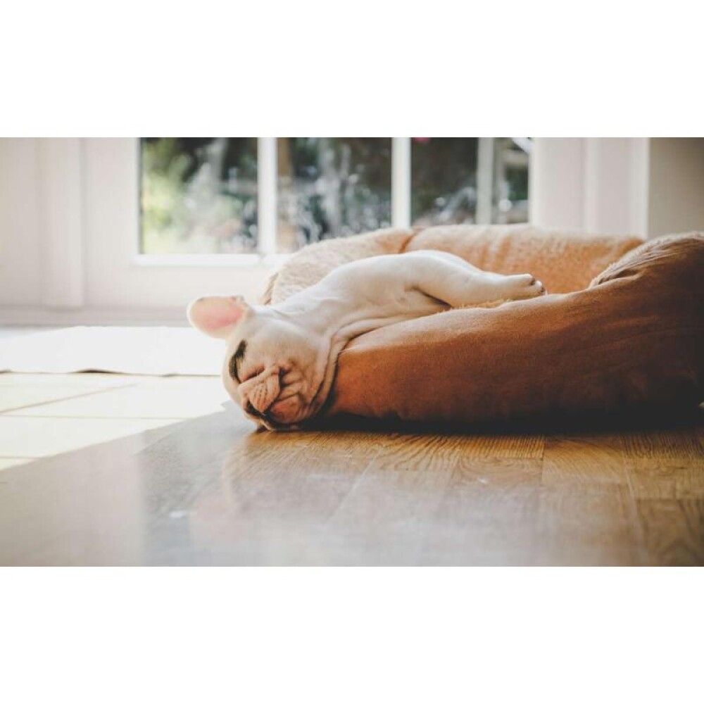 Hreyfiskynjari Sikkerthjem S7pro