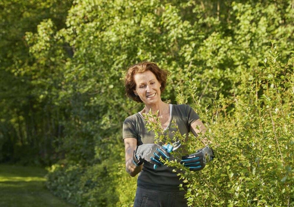 Garðhanskar str. M runnar og tré
