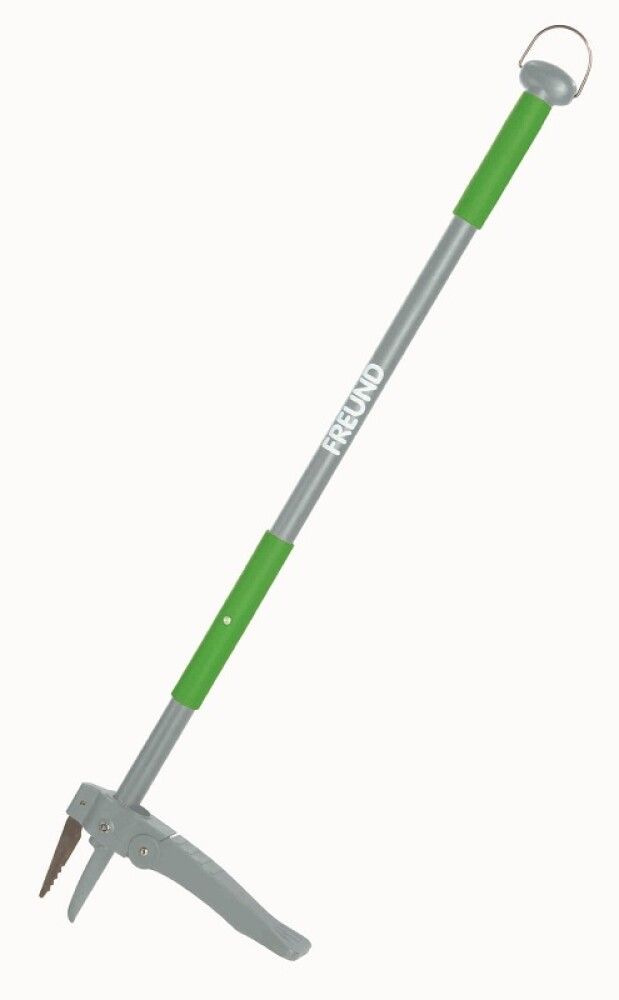 Illgresisjárn Freund