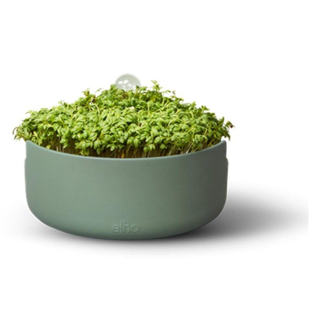 Ræktunarpottur Microgreens Grow your own Ø17cm grænn