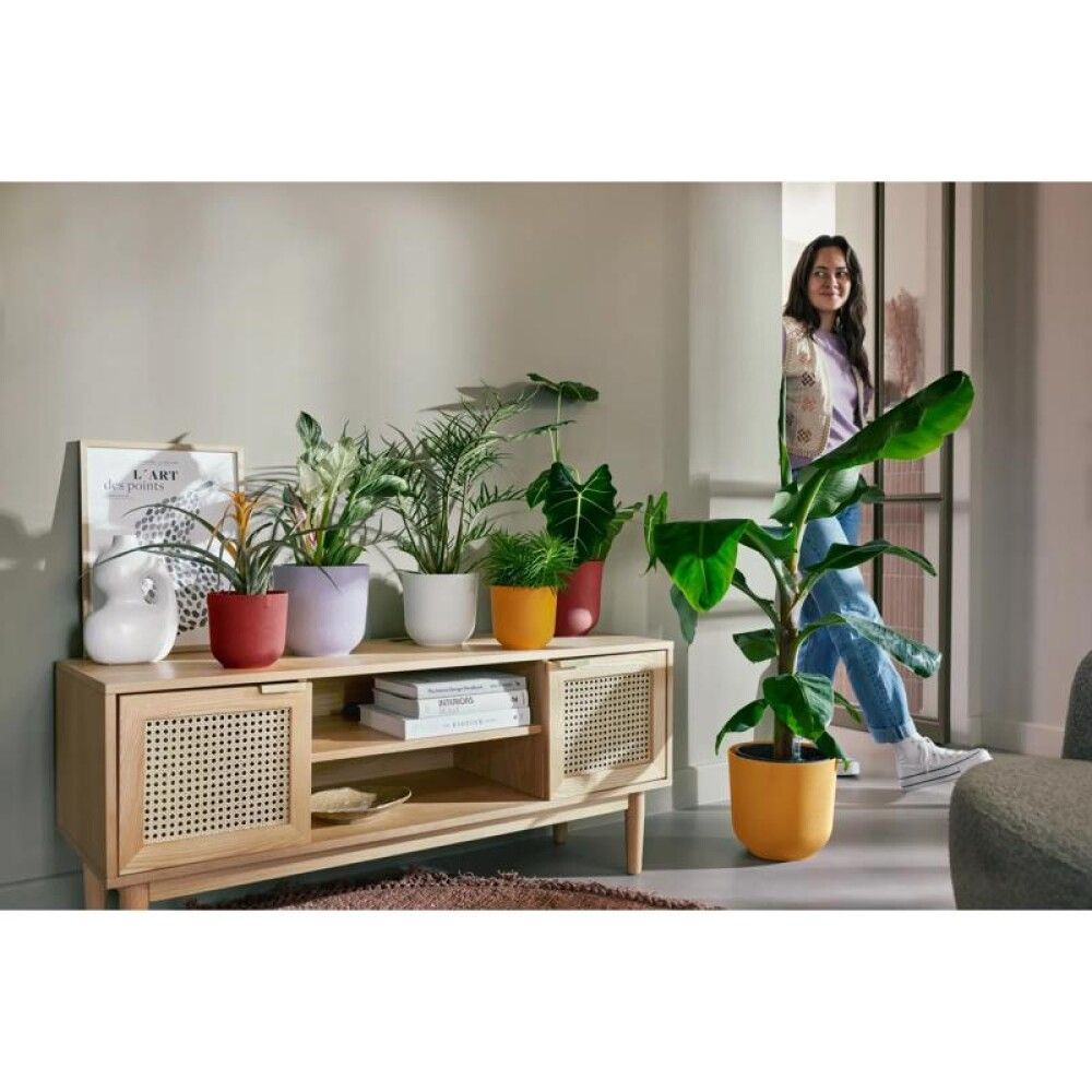 Blómapottur Jazz Ø19 cm Elho appelsínugulur