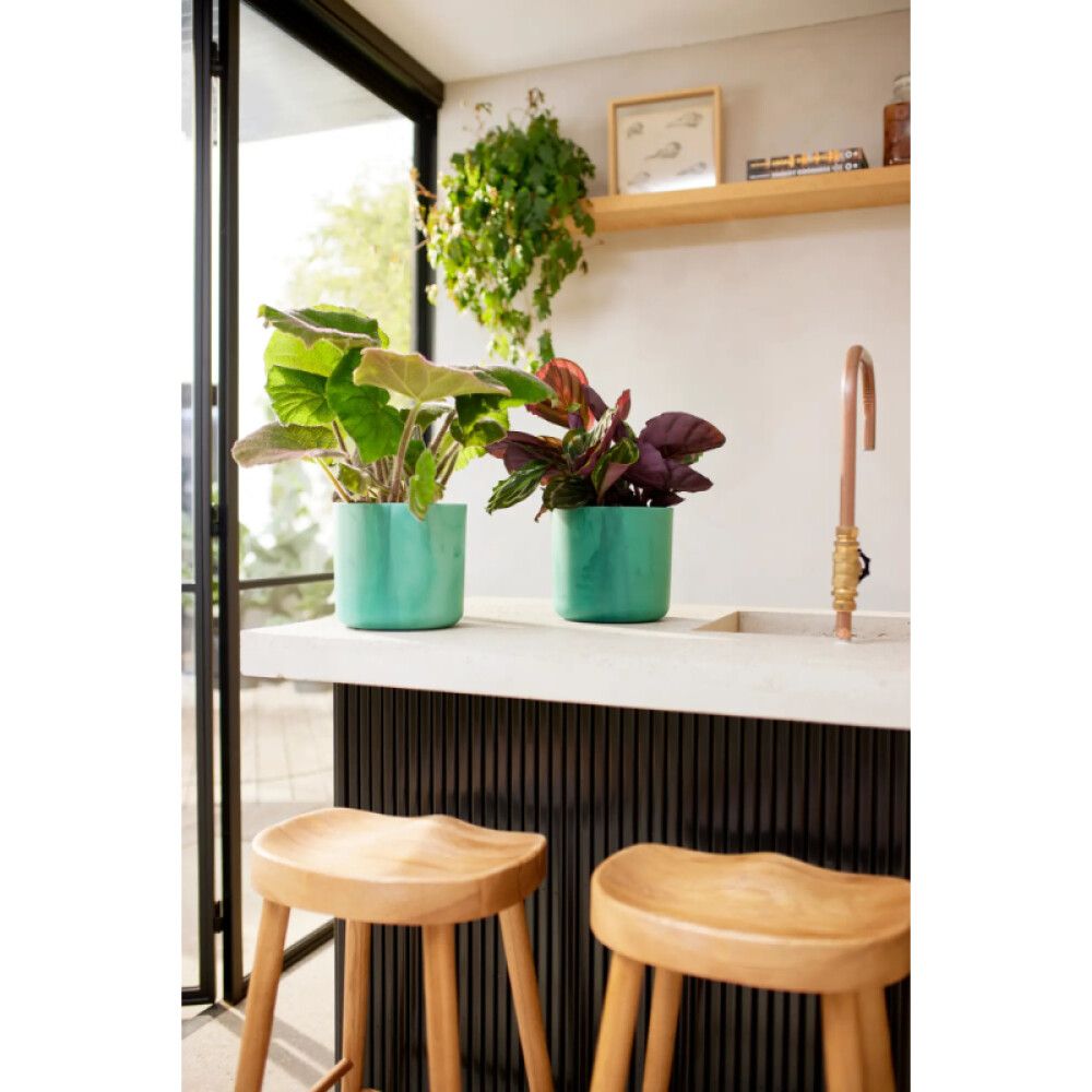 Blómapottur Ocean Ø22cm grænn