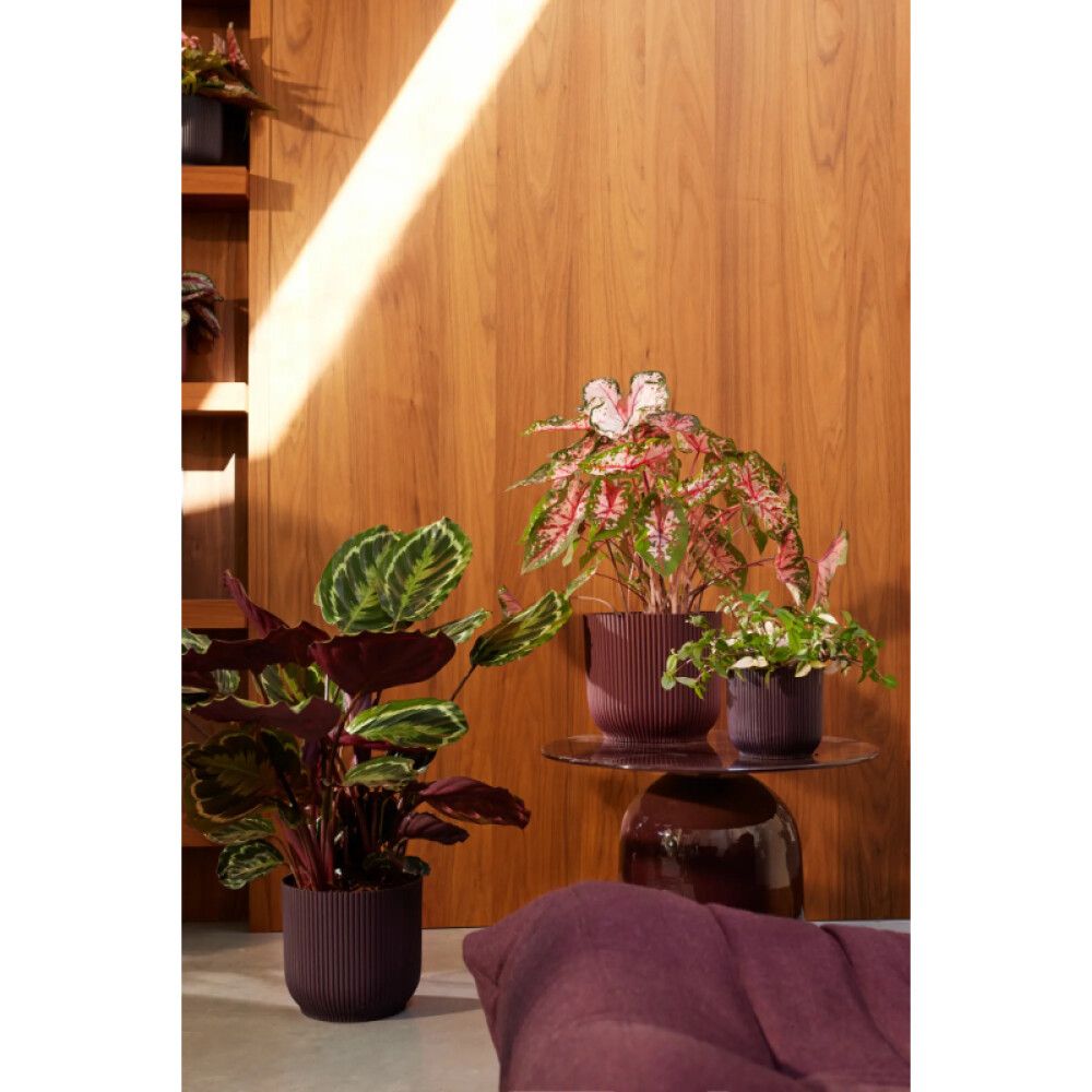 Blómapottur The Winery Ø18cm fjólublár