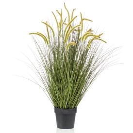 Gerviplanta gras Cattail Emerald 100cm