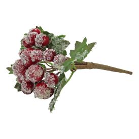 Grein með frosnum berjum 13 cm