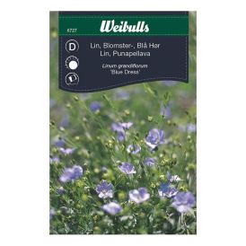 Sumarlín blá fræ Weibulls Linum grandiflorum