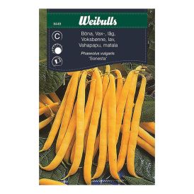 Strengjabaunir 'Sonesta' fræ Weibulls Phaseolus vulgaris