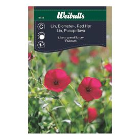 Sumarlín rauð fræ Weibulls Linum grandiflorum