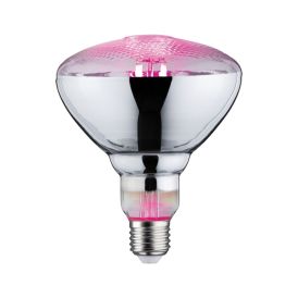 Gróðurpera LED E27  Filament Grow Green Reflector 115°