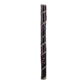 Verndarborði fyrir tré 60cm