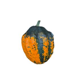 Grasker 0,5-1 kg (margar gerðir)