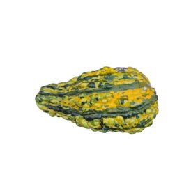 Grasker Cucurbita Sierfruit 0,25 kg (margar gerðir)