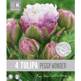 Vorlaukur túlípani Peggy Wonder 4 stk.