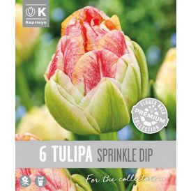 Vorlaukur túlípani Sprinkle Dip 6 stk.